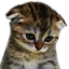 tmr_Sad emote