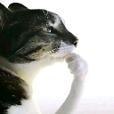 emoji_3 emote