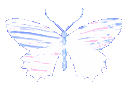 Butterfly Emote
