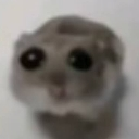 sadhamster emote