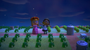 1000351393 emote