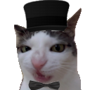 poshcat emote