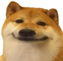 Doge emote