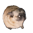 hala Emote