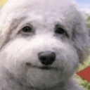 twinkyballs emote