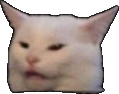 ConfusedCat Emote