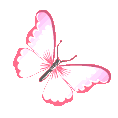 pink_butterfly emote