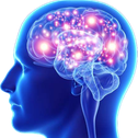 BigBrain Emote