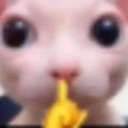 Shhhhhh Emote
