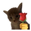 marryme emote