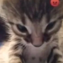 angry_billi emote