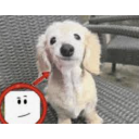 brothinksheishim emote