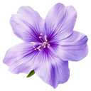 001_purpleflower1 emote