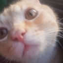 emoji_15 Emote