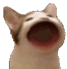HyperPopper emote