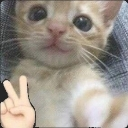 shah emote
