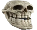 SkullTroll emote