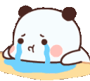 amiruspandacry emote