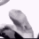 __ emote