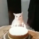 emoji_21 Emote