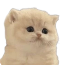 emoji_16 emote