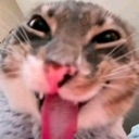 emoji_30 emote