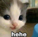 hp_hehe emote