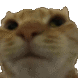 NoNoNo emote