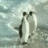 penguinslaps Emote
