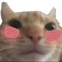 SwagBlush emote