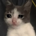 saad emote