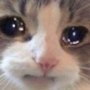 cry Emote