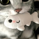 fish emote