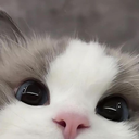 Abduu_2 emote