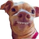 emoji_8 Emote