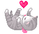 Kitty emote