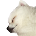 CocoSleep Emote