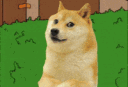 disappear_doge emote