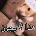 emoji_11 emote
