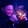 TDHsparkingthatshitup emote