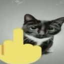 gatomalo Emote