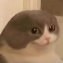 hehe Emote