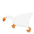m_goose_run emote