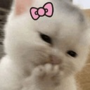 cat_hehe emote