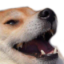 FunnyHaha Emote