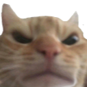 catAngry Emote