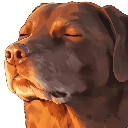 lockin Emote