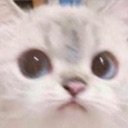 z_turamlachu emote