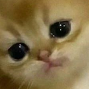 nightmare_10 emote