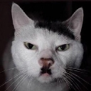 emoji_22 emote